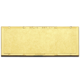 Radnor 2" X 4 1/4" Shade 9 Gold-Coated Polycarbonate Filter Plate