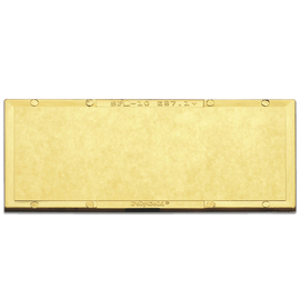 Radnor 2" X 4 1/4" Shade 10 Gold-Coated Polycarbonate Filter Plate