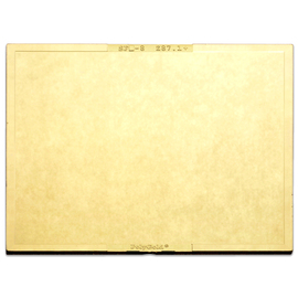 Radnor 4 1/2" X 5 1/4" Shade 8 Gold-Coated Polycarbonate Filter Plate