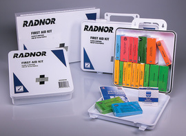 Radnor White And Black Steel Portable Or Wall Mounted 50 Person First Aid Kit