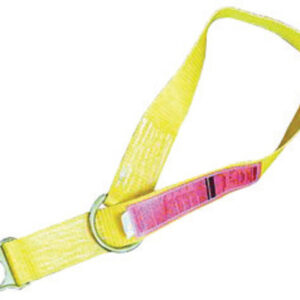 MSA 5' Nylon Anchorage Connector Strap With (2) D-Ring